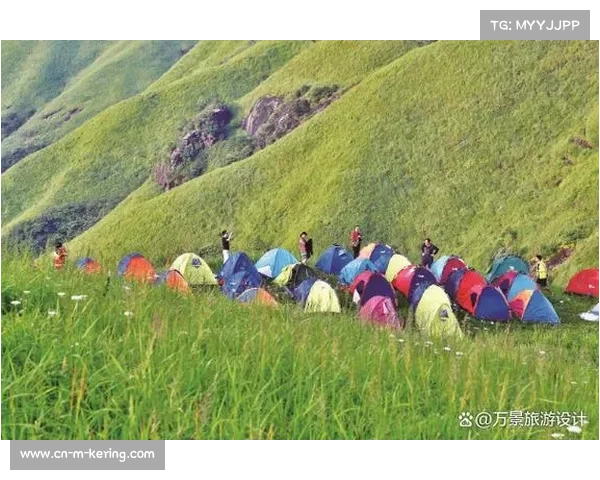 绿色风潮席卷联赛 多座球场启用环保新设施 绿色风潮席卷联赛 多座球场启用环保新设施